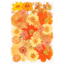40Pcs Orange Dried Pressed Flowers for Crafts,Xinxinran Dry Flowers Kit for Resin Molds,Epoxy Resin Accessories,Bookmark,Nails, Jewelry Molds,Candle Making Supplies,Soap,Frame,Cakes