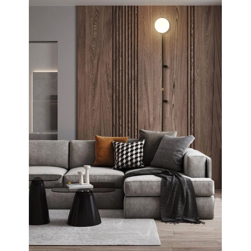 HOMLUCE Modern Plug in Wall Sconce Globe Shade Indoor Wall