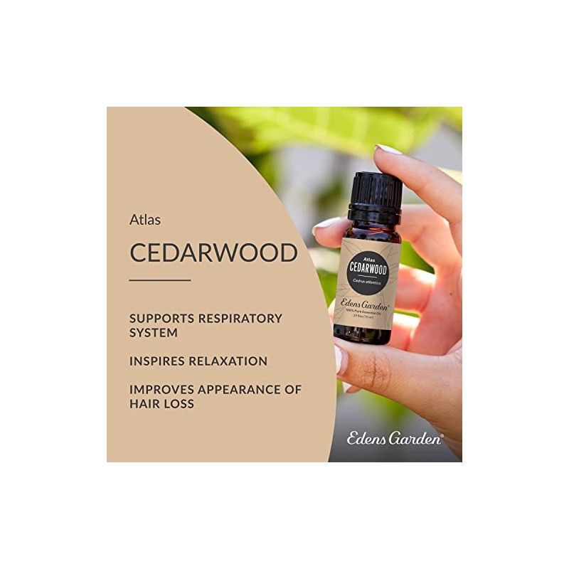 Edens Garden Cedarwood- Atlas Essential Oil, 100% Pure Therapeutic Grade