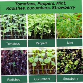 Bandeja de plántulas con Planta de Tapa, Bandeja Semillas Invernadero, Conjunto propagación Invernadero 12 Células para la germinación Jardines 3pcs, decoración del Patio Trasero