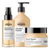 Kit Shampoo Mscara e leo LOral Professionnel Repair
