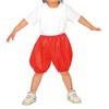 Artec 15050 Soft Satin Pumpkin Pants, C Size, Red, Cosplay,