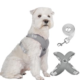 FEimaX Dog Harness for Small Medium Dogs Anti-Pull Reflective Soft Chest Harness with Dog Lead No Pull Dog Harness Adjustable Breathable Puppy Dog Harness