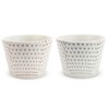 J-kitchens Isayama Kiln Cup Soba Choko Pair Set, 8.8 fl