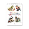 British Wild Birds 2026 Yearly Wall Hanging Calendar - Splash