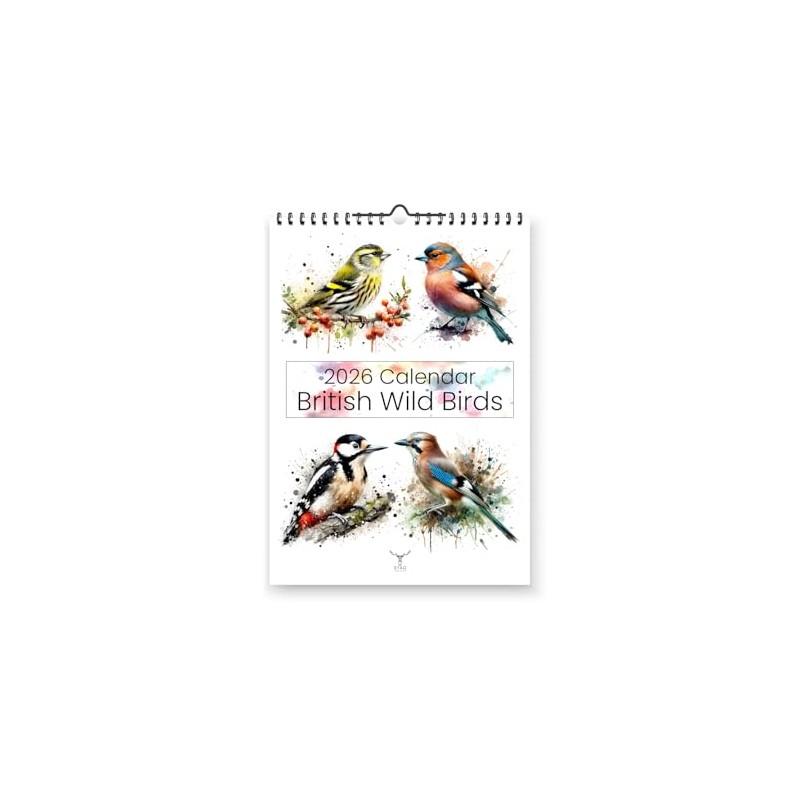 British Wild Birds 2026 Yearly Wall Hanging Calendar - Splash