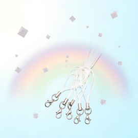 Wentoenapp 20 Pcs Mobile Phone Rope Strap Charm Lariat Lanyard with Lobster Clasp Cords, Cell Phone Charms, Car Keychain, for Cellphone/USB Drive/Keychain/DIY Jewelry Accessories (White)