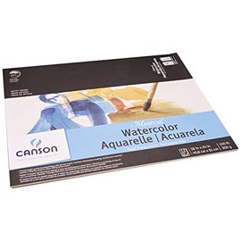 Montval Acid-Free Cold Press Watercolor Paper, 140 lb, 18 X 24 in, Natural White
