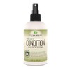 Taliah Waajid Shea-Coco Condition Daily Leave-in Conditioner 8 oz
