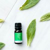 ECO. Modern Essentials Peppermint Pure Essential Oil, 10ml