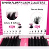 WiWiLINK Lash Clusters Kit Volume Lashes Clusters 60D 80D Lash
