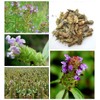 Dried Whole Self Heal Herbs, Natual Pure Self Heal, 2.0oz