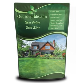 Outsidepride Midnight Kentucky Bluegrass Seed - 10 Lbs. Cold & Drought Tolerant, Sun-Loving Lawn Grass Seed, w/High Traffic Tolerance & Deep Root System, OptiGrowth Coated for Better Establishment