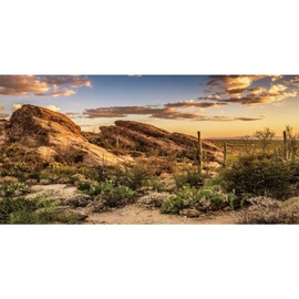 AWERT Reptile Habitat Background Blue Sky Oasis Cactus Sun and Desert Terrarium Background 48x20 inches Durable Polyester Background