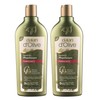 2 x Dalan d'Olive Shampoo Colour Protection Colour (Each 400