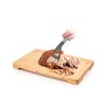 Tescoma 428259 Sfilaccia carne in acciaio inox e nylon