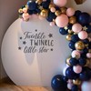 Capiont Twinkle Twinkle Little Star Gender Reveal Backdrop Sticker