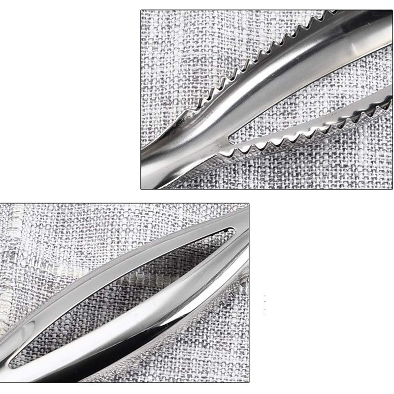 DBAILY Fish Scaler Stainless Steel 3 Pieces Professional Fish Scale