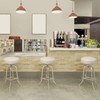 BUYUE 4 Pcs Bar Stool Covers, Luxury Fabric Dia.16-18" Round