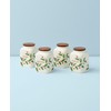 Lenox 895049 Holiday Cooking Spice Jars, Set of 4