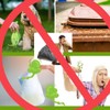 SealRay Carbon Seal for Outdoor Trash Can - Odor Neutralizer