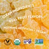 Vegobears Organic Sour Gummy Bears, 4 Oz