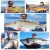 Mpeter 9 Strands 8 Strands 4 Strands Armor Braided Fishing