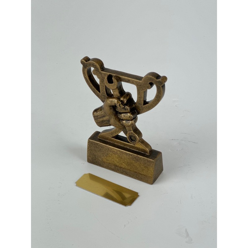 SilverTrophy: Fix It Gold Trophy Prize - Repair Wizard, Reward