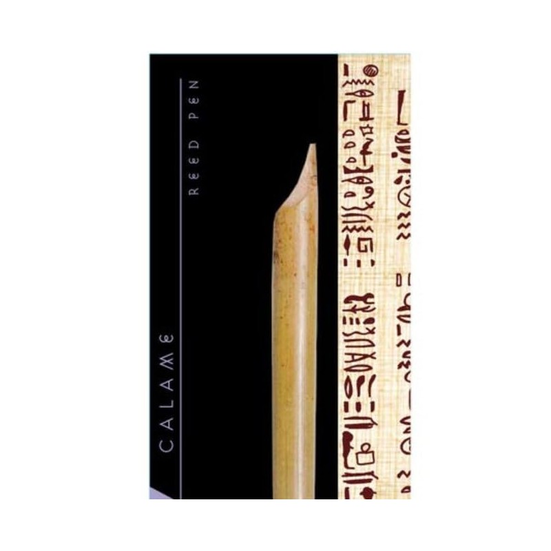 Herbin 22600T - Large Reed Pen 18cm (delivery in a