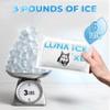 Dry Ice Packs for Shipping XL - Long Lasting ice