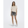 ONLY ONLBLUSH Female Denim Shorts Medium Waist Normal Cut Denim