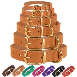 BRONZEDOG Leather Dog Collar Buckle Durable Pet Collars for Small Medium Large Dogs Puppy Cat Kitten Red Pink Purple Green Brown Black