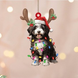 3" Clear Acrylic Christmas Ornaments 2023 Portuguese Water Dog with Antlers Farmhouse Xmas Ornament Bauble Holidays Home Decor Gift for Newborn Boy Keepsake Transparent Disc Stocking Name Tag Holiday
