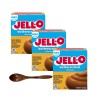 Jell-O Pudding 1oz Box(3-Pack) w/ Wooden Spoon (Zero Sugar Butterscotch)