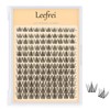 Leefrei Eyelash Cluster 10-18mm Wispy Eyelash Clusters D Curl DIY