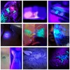 365nm UV Flashlight USB Rechargeable Portable Ultraviolet Torch Light Pet