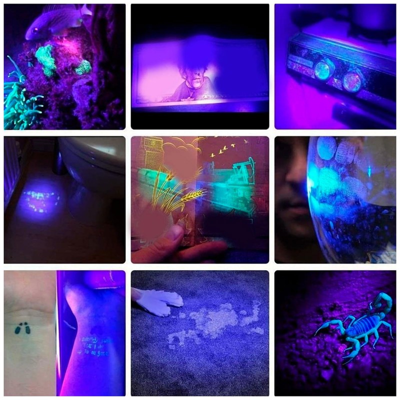 365nm UV Flashlight USB Rechargeable Portable Ultraviolet Torch Light Pet