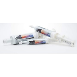 Sensible Pet Supplements 'Digestion' | Probiotic paste for dogs and cats. Supporting healthy gut function. | Contains probiotics, prebiotics and bentonite clay | (30ml)