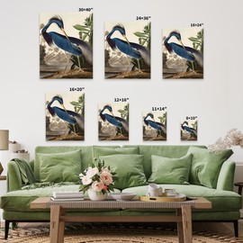 Poster Master James Audubon Canvas - Louisiana Heron Print - Birds of America Art - Bird Art - Gift for Men, Women & Animal Lover - Decor for Bedroom or Living Room - Available in 8x10 to 30x40