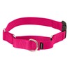 PetSafe Martingale Collar con Hebilla de Cierre rápido, 3/8 Pulgadas,
