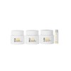 Mount Shiva Cibasan Pygmal Cream 5mlx5ea Balsam BB / 시바산