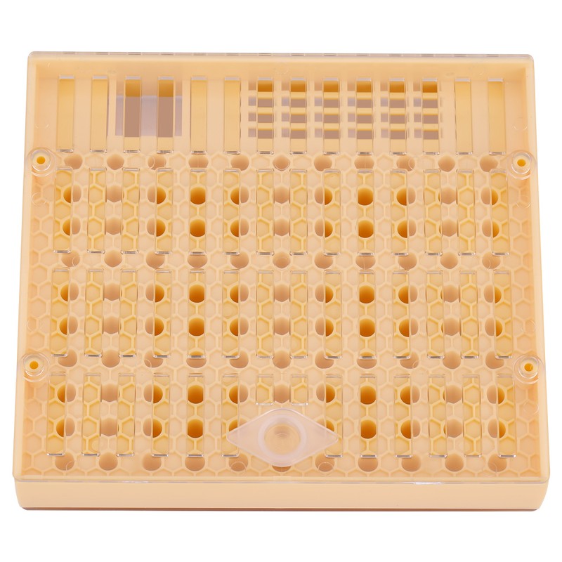 Queen Rearing Cup Kit Bee Cultivating Tool Plastic Beekeeping Box