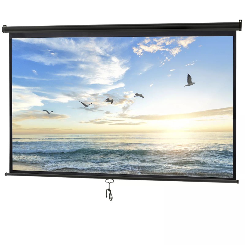 Segawe 100" Pull Down Projection Screen 16:9 HD Home Theater