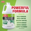 MOLD ARMOR FG550 Mold Remover/Disinfectant, 1 Gallon