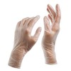 Powder Free Vinyl Gloves (Pack of 10), , s, ,