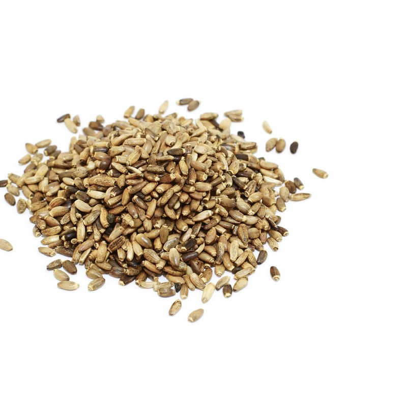 SAFLAX - Medicinal Plants - Milk Thistle - 75 Seeds