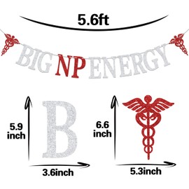 Sliver Glitter Big NP Energy Banner, NP Class of 2024/So Poud of You/Nursing School Survivor, 2024 Nurse Grduation Party Decorations Supplies