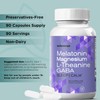 Magnesium Glycinate 275mg Melatonin 5mg L-Theanine 200mg GABA 100mg, Vegan
