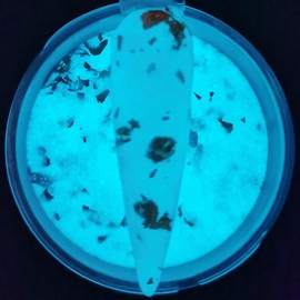 Oumisaya OUMISAYA Glow in the Dark Milky White Nail Dip Powder Color 1OZ GL061