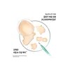 클로란 [지루성두피&가려움케어] 갈랑가 진저 비듬 샴푸 400ml x 2개 +